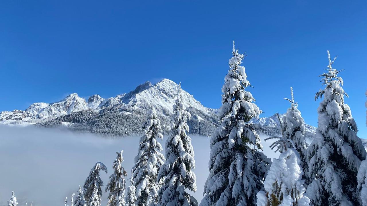 Chalet Kleinbergsonne Filzmoos Eksteriør billede